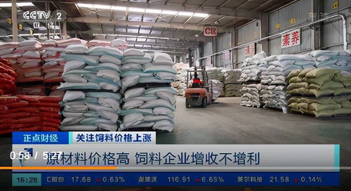 飼料價格上漲的連鎖反應 養殖戶虧損加劇，企業利潤承壓