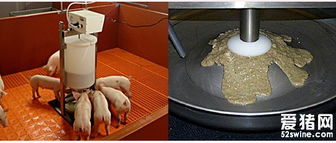 仔豬自動化稀飼料制作系統 飼料生產的高效解決方案